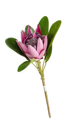 PROTEA R0483-36 SURT