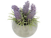 PLANTA ARTI 13.97X13.97X12.7CM 718-04899