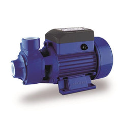 BOMBA LADRONA GOODYEAR 1/2HP GY61PPS