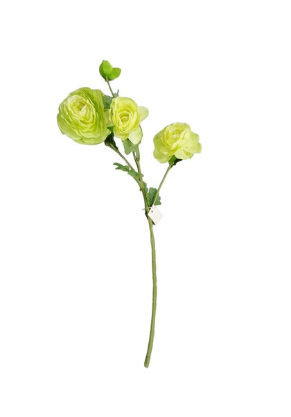 FLOR RENACULO X3 C/BOTON R0244-22