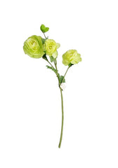 FLOR RENACULO X3 C/BOTON R0244-22