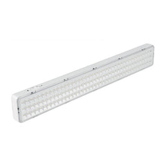 LAMP EMERC RECARG VOLTECH 1000LU T43010