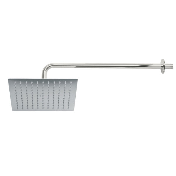 REGADERA C/BRAZO 10 CROM ACE T45773
