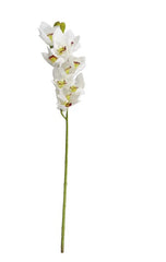 ORQUIDEA LATEX X10 R0452-40 SURT