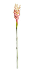 FLOR GINGER-ZYG153-PK