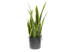 PLANTA ARTIFICIAL 39CM 718-01282