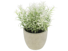 PLANTA ART 17.78X17.78X17.15CM 718-04909