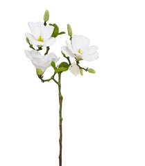 MAGNOLIA X3 WH R9178-34