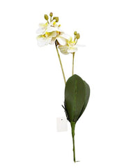 ORQUIDEA C/ HOJAS WH/YE R0452-144