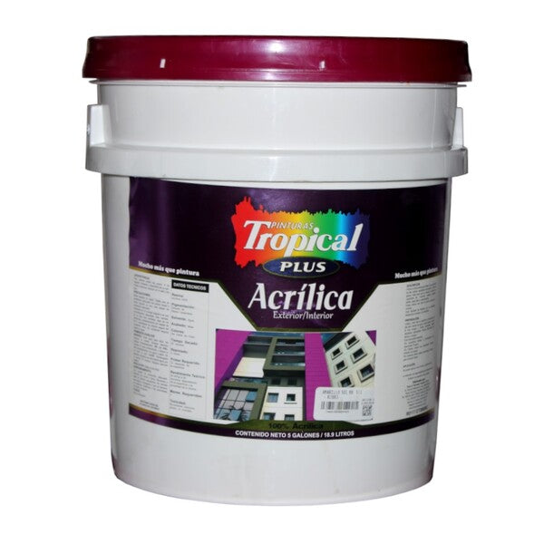 PINT.TROP.PLUS ACRIL.BLCO.PERLA 09 CUBO