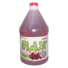 DESINFECTANTE MAXX B. FLORA 1GL DL-319-4